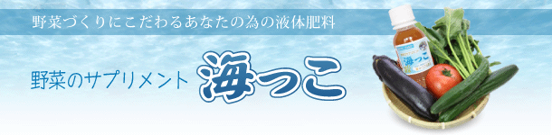 海っこ